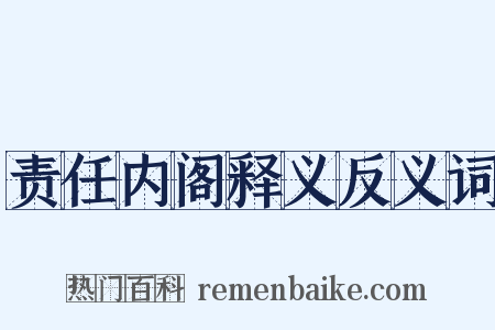 责任内阁释义反义词是什么意思的图片